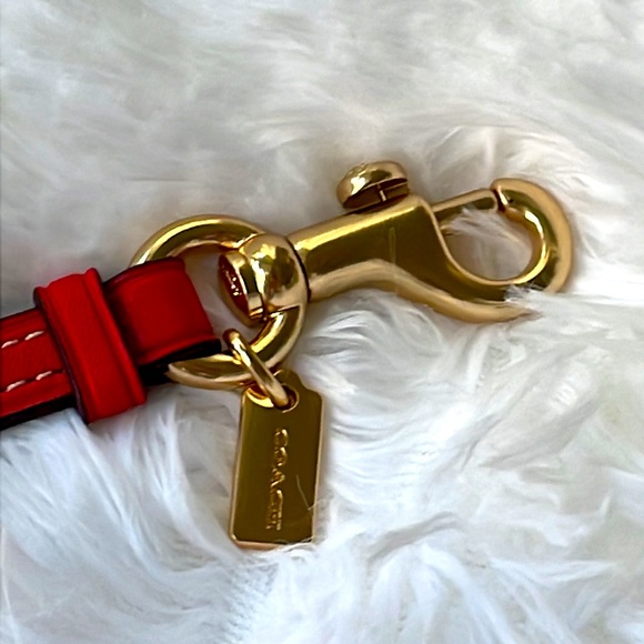 Coach Cherry Print Sunglass Case - Picture 4 of 11